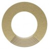 WD10 MICA